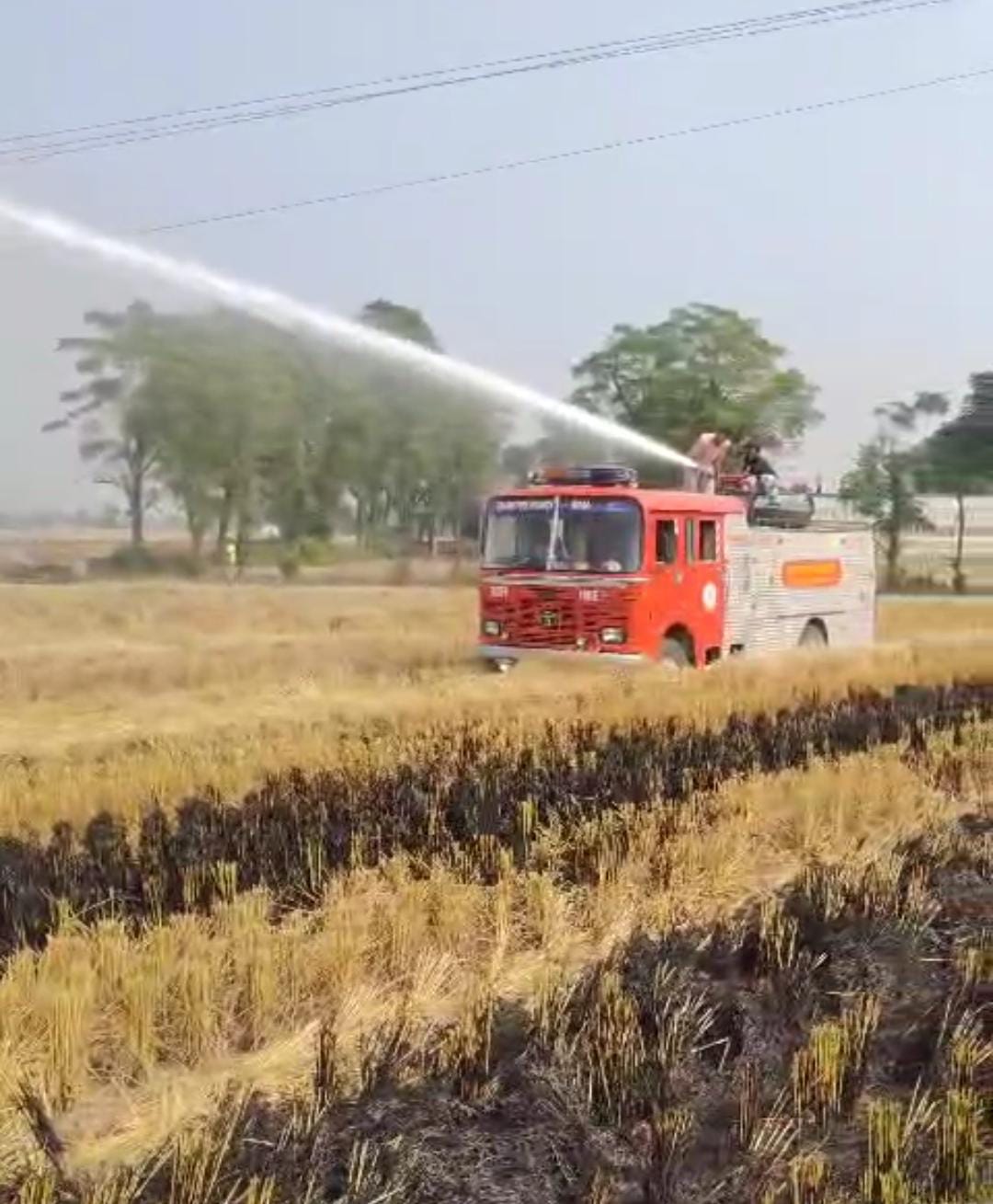 Stubble: ਮੋਗਾ 'ਚ 218 ਥਾਵਾਂ 'ਤੇ ਸਾੜੀ ਜਾ ਰਹੀ ਸੀ ਪਰਾਲੀ ਤਾਂ ਪ੍ਰਸ਼ਾਸਨ ਪੰਹੁਚ ਗਿਆ ਪਾਣੀ ਦੇ ਟੈਂਕ ਲੈ ਕੇ 