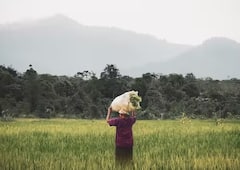 Pradhan Mantri Fasal Bima Yojanaનો લાભ લઇ પાકને સુરક્ષા કવચ આપે ખેડૂતો