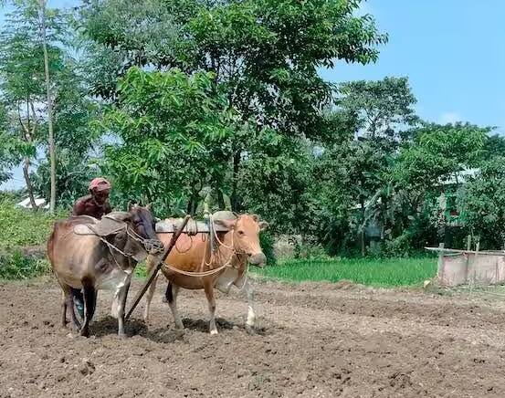 Pradhan Mantri Crop Insurance Scheme