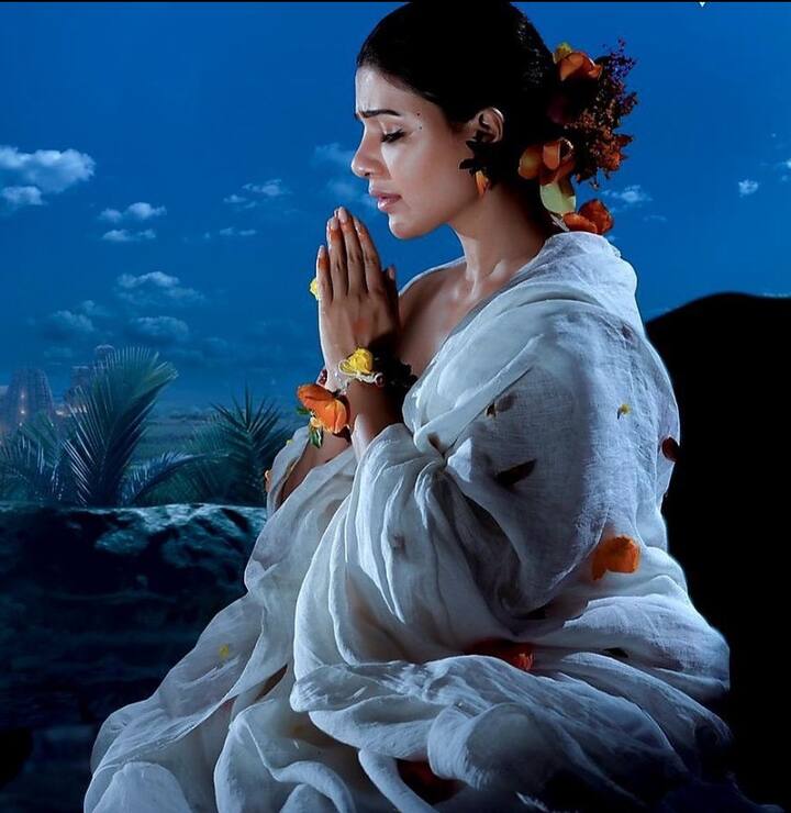 અભિનત્રીનો દરેક લુક ફેન્સને પસંદ આવે છે. જ્યારે પણ અભિનેત્રી તસવીરો શેર કરે છે તે આગની જેમ વાયરલ થઈ જાય છે.