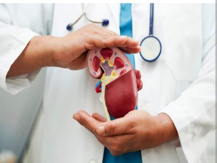 health tips kidney damage signs in morning know prevention in hindi सुबह-सुबह शरीर दे ऐसे संकेत तो हो जाएं सावधान !डैमेज हो सकती है किडनी