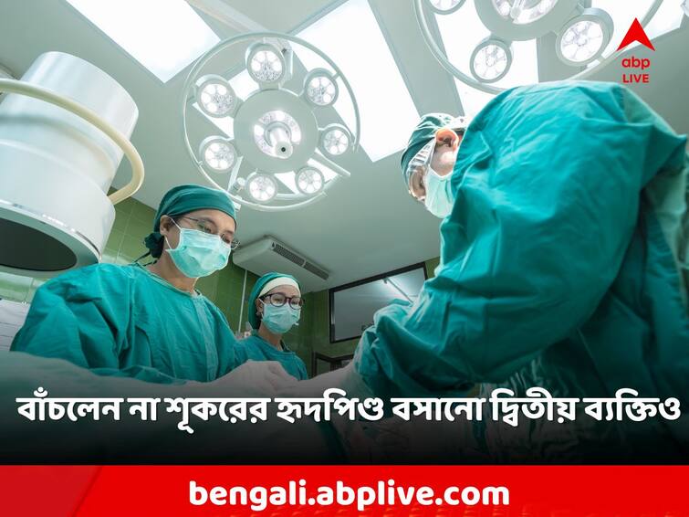 American Man Dies 40 Days After Receiving World's Second Pig Heart Transplant Viral News: দেহে বসানো ছিল শূকরের হৃদপিণ্ড, অস্ত্রোপচারের ৪০ দিনের মাথায় মৃত্যু ব্যক্তির!