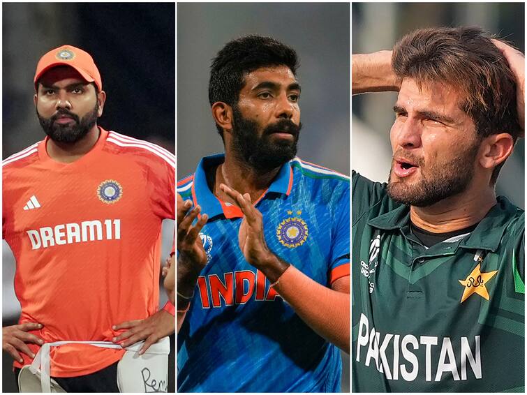 cricket-world-cup-latest-points-table-highest-run-score-wicket-taker