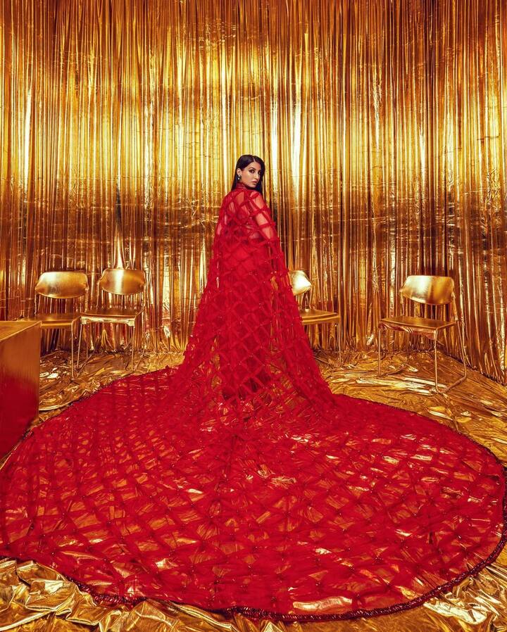 ఈ భామ తెలుగులోనూ, హిందీలోనూ పలు సాంగ్స్​లో మెరిసి కుర్రకారును ఆకట్టుకుంది.