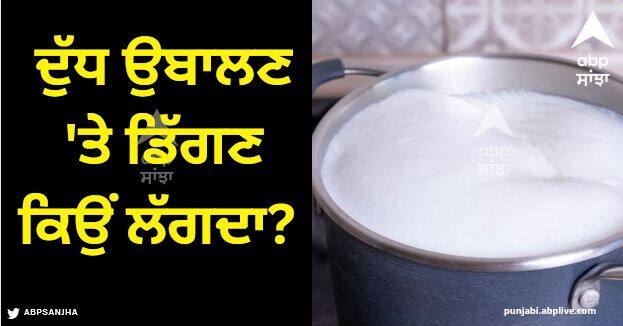 do you know why milk overflow when boiling Milk Overflow: ਦੁੱਧ ਉਬਲਣ 'ਤੇ ਡਿੱਗਣ ਕਿਉਂ ਲੱਗਦਾ? ਪਾਣੀ ਨਾਲ ਅਜਿਹਾ ਨਹੀਂ ਹੁੰਦਾ, ਕੀ ਤੁਸੀਂ ਜਾਣਦੇ ਹੋ ਸਹੀ ਜਵਾਬ?