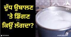 Milk Overflow: ਦੁੱਧ ਉਬਲਣ 'ਤੇ ਡਿੱਗਣ ਕਿਉਂ ਲੱਗਦਾ? ਪਾਣੀ ਨਾਲ ਅਜਿਹਾ ਨਹੀਂ ਹੁੰਦਾ, ਕੀ ਤੁਸੀਂ ਜਾਣਦੇ ਹੋ ਸਹੀ ਜਵਾਬ?