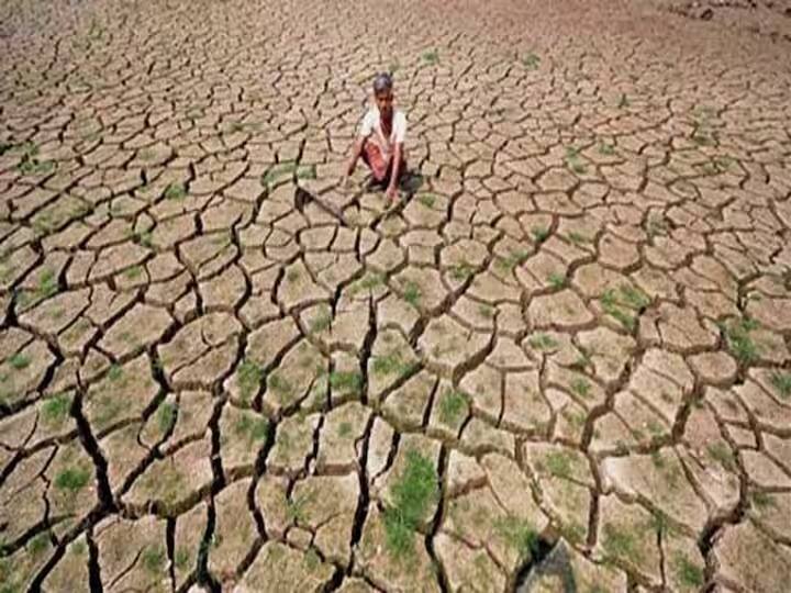 Nashik News Declared drought Nandgaon Chandwad deola taluka MLA Suhas Kande' demand Nashik News: नांदगाव तालुक्यात दुष्काळ जाहीर करा, आमदार सुहास कांदे यांची मागणी