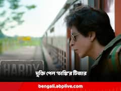 'সাধারণ মানুষের স্বপ্নপূরণের গল্প...' শাহরুখের জন্মদিনেই মুক্তি পেল 'ডাঙ্কি'র প্রথম ঝলক