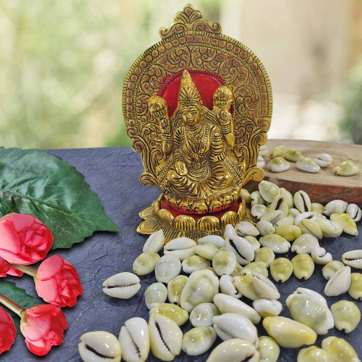 દિવાળીના દિવસે મહાલક્ષ્મીની પૂજા અવસરે કોડ઼ી અને ગૌમતી ચક્રને પણ માને અર્પણ કરો. આ બંન વસ્તુ તેને પ્રિય છે.