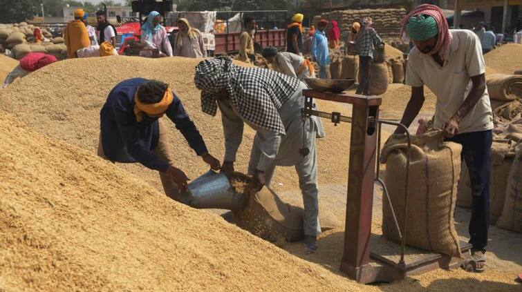 purchase of paddy in Amritsar crossed 6 lakh metric tons Paddy: ਅੰਮ੍ਰਿਤਸਰ ਜਿਲ੍ਹੇ ਦੀਆਂ ਮੰਡੀਆਂ ਵਿਚ ਝੋਨੇ ਦੀ ਖਰੀਦ  6 ਲੱਖ ਮੀਟਰਿਕ ਟਨ ਦਾ ਅੰਕੜਾ ਪਾਰ