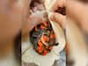Man Stuffs Live Worm-Like Creatures Inside Momo, Leaves Internet Aghast