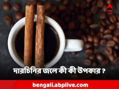 Healthy Diet: প্রতিদিন খালি পেটে দারচিনির জল পান করলেই সুফল? কী কী উপকার পাবেন?