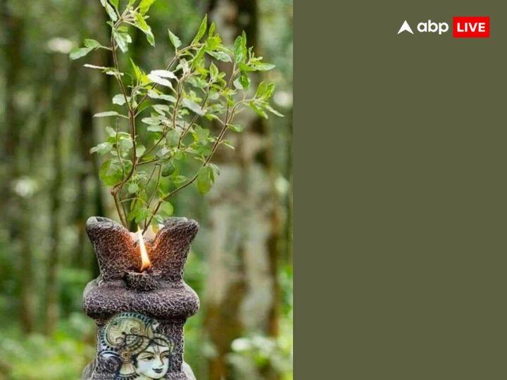 कार्तिक मास में तुलसी पर जल जरुर दें और देसी घी या तेल का दीपक जरुर जलाएं. ऐसा माना जाता है भगवान विष्णु तुलसी जी के हृदय में शालिग्राम के रूप में निवास करते हैं. इस वजह से दीपदान दान का भी विशेष महत्व माना गया है.