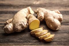 Gut Health Foods: மொத்த உடலையும் கட்டிக் காக்கும் குடல் அரோக்கியம்.. அதை மேம்படுத்த உதவும் உணவுகள் இதோ!