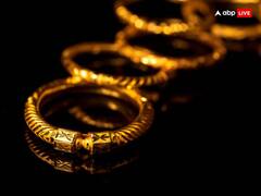 Dhanteras 2023 Shopping Time: धनतेरस पर इस शुभ मुहूर्त में खरीदें सोना-चांदी और ये 5 खास चीजें, सालभर प्रसन्न रहेंगी लक्ष्मी जी