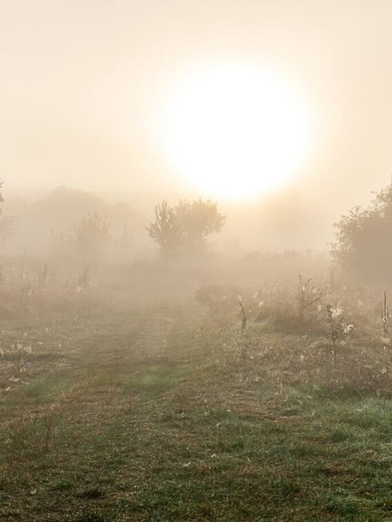 पॉल्यूशन से बचने के लिए करें ये काम