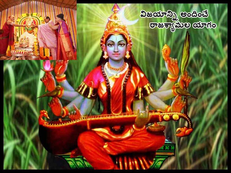 Telangana CM KCR performs Raja Shyamala Yagam, what are the benefits of Raja Shyamala Yagam, know in telugu Raja Shyamala Yagam: KCR రాజశ్యామల యాగం - ఈ యాగంతో కేసీఆర్‌కు మళ్లీ అధికారం ఖాయమా!