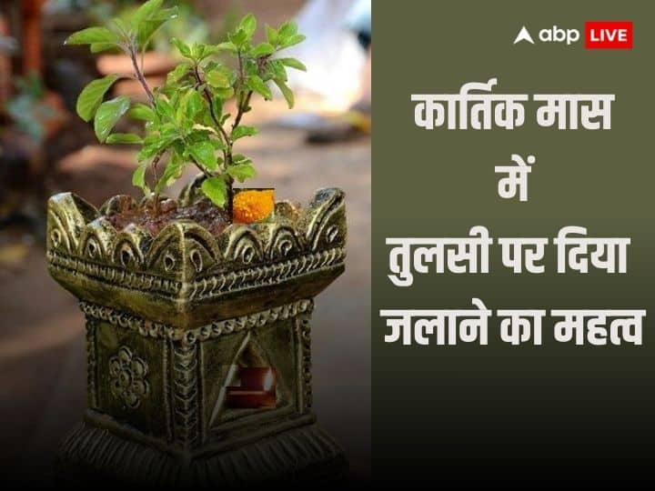 Kartik Maas Tulsi Pooja: कार्तिक माह में तुलसी पूजन का विशेष महत्व बताया गया है. आइये जानते हैं क्यों करते हैं कार्तिक माह में तुलसी के पेड़ की पूजा और क्या है इसका महत्व.