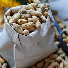 Peanuts Benefits : ਸਰਦੀਆਂ 'ਚ ਮੂੰਗਫਲੀ ਖਾਣ ਦੇ ਅਨੋਖੇ ਫਾਇਦੇ