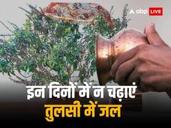 Tulsi Rules: नियमित करें तुलसी पूजन लेकिन इन दिनों में न डालें तुलसी पौधे में जल, वरना बढ़ जाएगी परेशानी
