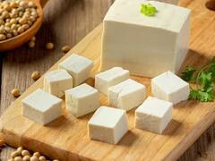 Health Benefits:પ્રોટીનનો ખજાનો પનીરનું રોજ સેવન કરવું કેટલું ફાયદાકારક, જાણો એક્સ્પર્ટનો મત