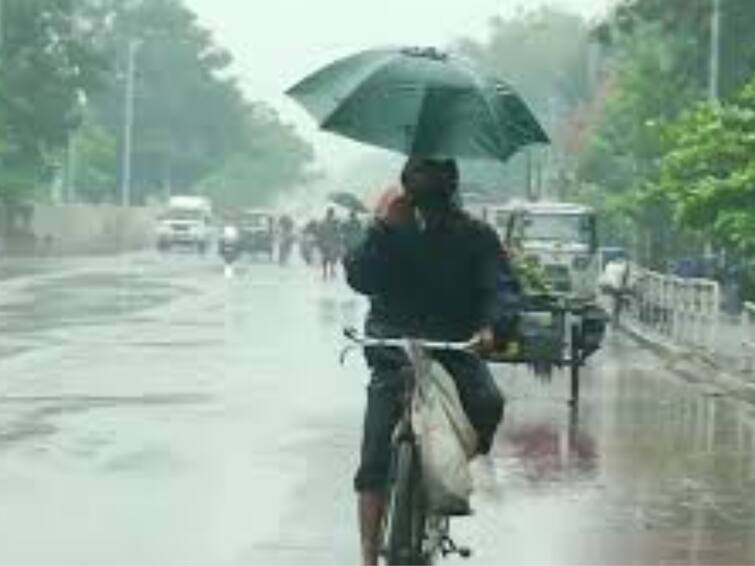 Chance of rain in 28 districts in Tamil Nadu in next 3 hours weather report school leave theni nellai dindugal thenkasi mayiladuthurai Rain Alert: தமிழ்நாட்டில் காலை முதலே வெளுத்துவாங்கும் மழை.. இன்று எங்கெங்கு பள்ளி விடுமுறை?