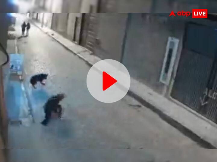 Man Kicking Dog Badly Had To Suffer Bad Consequences Watch Viral Video कुत्ते से उलझने की कोशिश पड़ी भारी, शख्स को भुगतना पड़ गया बुरा अंजाम, देखें VIDEO