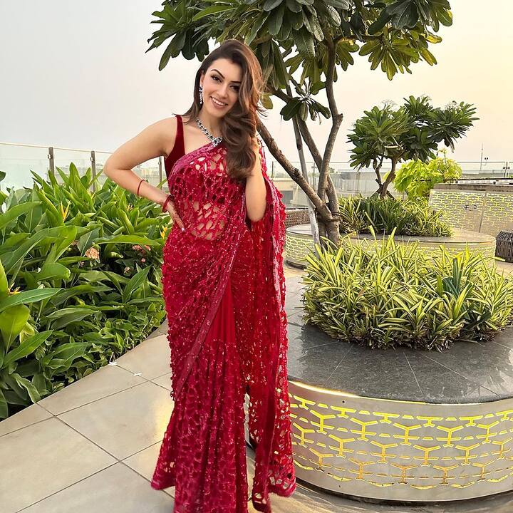 Hansika Motwani Upcoming Movies: టాలీవుడ్లో వరుస అవకాశాలు అందుకున్న హన్సిక కొన్ని సినిమాలతోనే స్టార్ స్టేటస్ దక్కించుకుంది. ఆ తర్వాత టాలీవుడ్ లో పెద్దగా అవకాశాలు లేకపోయినా తమిళంలో వెలుగుతూనే ఉంది. ప్రస్తుతం అరడజను సినిమాలు, రెండు వెబ్ సిరీస్ లు ఆమె చేతిలో ఉన్నాయి