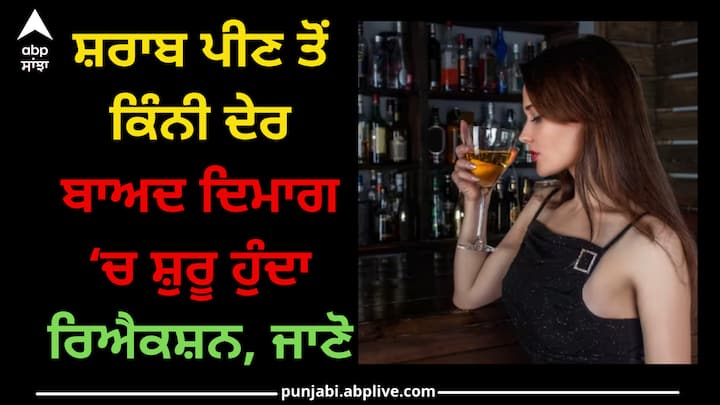 Alcohol Reaction Time: ਸ਼ਰਾਬ ਪੀਣ ਤੋਂ ਬਾਅਦ ਸਰੀਰ ਵਿੱਚ ਰਿਐਕਸ਼ਨ ਹੋਣਾ ਸ਼ੁਰੂ ਹੋ ਜਾਂਦਾ ਹੈ। ਵੱਖ-ਵੱਖ ਤਰ੍ਹਾਂ ਦੀ ਸ਼ਰਾਬ ਵਿੱਚ ਅਲਕੋਹਲ ਦਾ ਪੱਧਰ ਵੱਖ-ਵੱਖ ਹੁੰਦਾ ਹੈ, ਜਿਸ ਕਾਰਨ ਨਸ਼ਾ ਤੇਜ਼ੀ ਨਾਲ ਵਧਦਾ ਹੈ।