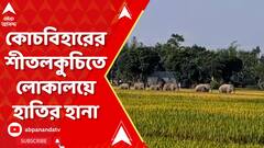 Coochbehar News: কোচবিহারের শীতলকুচিতে লোকালয়ে হাতির হানা, আহত স্থানীয় এক বাসিন্দা | ABP Ananda Live