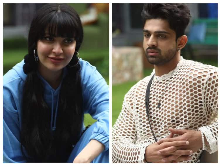 Bigg Boss 17: Khanzaadi Finally Confesses Her Feelings For Abhishek Kumar Bigg Boss 17: Khanzaadi Finally Confesses Her Feelings For Abhishek Kumar