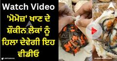Viral Video: 'ਮੋਮੋਜ਼' ਖਾਣ ਦੇ ਸ਼ੌਕੀਨ ਲੋਕਾਂ ਨੂੰ ਹਿਲਾ ਦੇਵੇਗੀ ਇਹ ਵੀਡੀਓ, ਨਫ਼ਰਤ ਨਾਲ ਭਰ ਜਾਵੇਗਾ ਉਨ੍ਹਾਂ ਦਾ ਮਨ