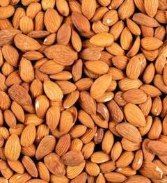 Health Tips: ਡਾਈਟੀਸ਼ੀਅਨ ਤੋਂ ਜਾਣੋ ਇੱਕ ਦਿਨ 'ਚ ਕਿੰਨੇ ਬਦਾਮ ਖਾਣ ਨਾਲ ਸਰੀਰ ਨੂੰ ਮਿਲਦੇ ਨੇ ਵੱਧ ਤੋਂ ਵੱਧ ਫਾਇਦੇ