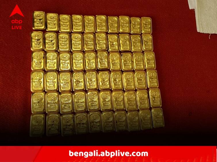 BSF Reportedly Foils Attempt Of Gold Smuggling At India Bangladesh Border Gold Smuggling:পেট্রাপোলে প্রায় সাড়ে ৪ কোটি টাকার সোনা পাচারের চেষ্টা বানচাল করল BSF, চোরাচালানকারী সন্দেহে ধৃত ১