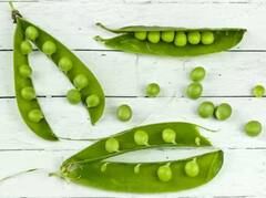 ਸਰਦੀਆਂ 'ਚ ਬਜ਼ਾਰ ਤੋਂ ਮਟਰ ਖ਼ਰੀਦਣ ਦੀ ਨਹੀਂ ਪਵੇਗੀ ਲੋੜ , ਇੰਝ ਘਰ 'ਚ ਹੀ ਉਗਾਓ