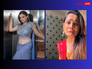 'दीया और बाती हम' फेम एक्ट्रेस Kanika Maheshwari पति से हुईं अलग, शादी के 11 साल बाद ले रहीं तलाक!