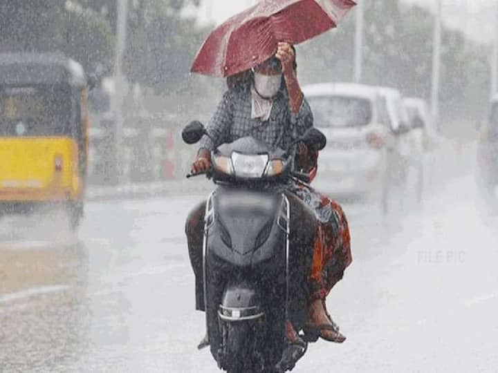 According to the Meteorological Department, 17 districts of Tamil Nadu are likely to receive rain in the next 3 hours. TN Rain Alert: வெயில பாத்து ஏமாறாதீங்க.. குடையோட போங்க.. எங்க எப்படினு தெரியாது.. மாறி மாறி பெய்யும் மாரி!