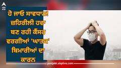 Air Pollution: ਹੋ ਜਾਓ ਸਾਵਧਾਨ! ਜ਼ਹਿਰੀਲੀ ਹਵਾ ਬਣ ਰਹੀ ਕੈਂਸਰ ਵਰਗੀਆਂ 'ਘਾਤਕ' ਬਿਮਾਰੀਆਂ ਦਾ ਕਾਰਨ