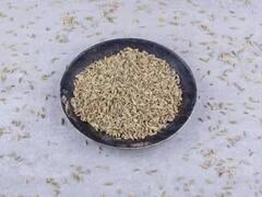 Cumin Seeds: શું આપ વેઇટ લોસ માટે રોજ જીરા પાણીનું કરો છો સેવન, તો સાવધાન, જાણો ગંભીર નુકસાન