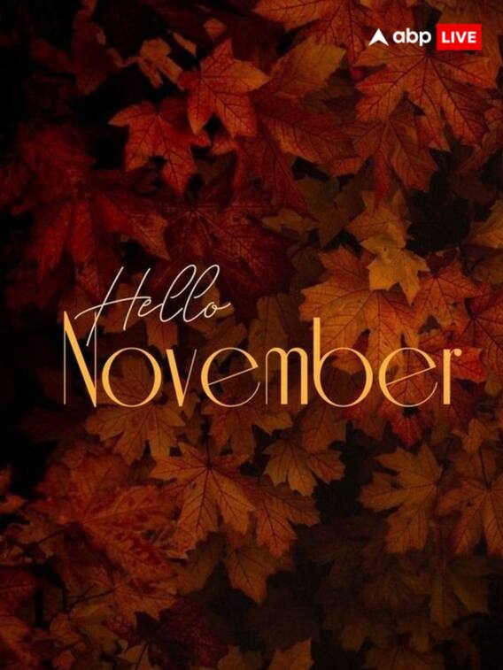 नवम्बर माह में जन्मे लोगों की राशि क्या होती है?