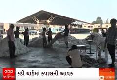 Mehsana | માર્કેટ યાર્ડમાં કપાસની આવક શરૂ, જાણો ગત વર્ષ કરતા આ વર્ષે કેટલા મળ્યા ભાવ?