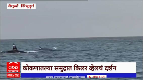 Sindhudurg Killer Whale : कोकणातल्या समुद्रात किलर व्हेलचं दर्शन, मच्छीमारांनी टीपला व्हिडीओ