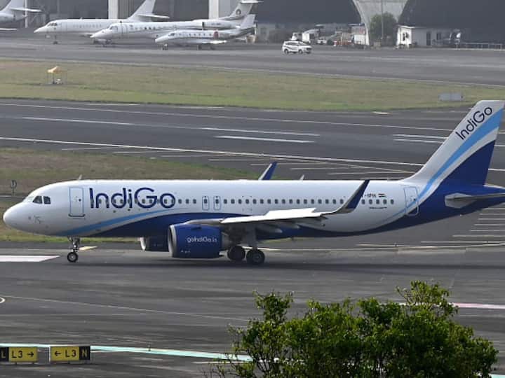 IndiGo Q2 Result Airline Logs Net Profit Of Rs 189 Crore On Higher Traffic IndiGo Q2 Result: Airline Logs Net Profit Of Rs 189 Crore On Higher Traffic
