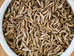 Cumin Seeds: ਸਬਜ਼ੀਆਂ ਜਾਂ ਦਾਲਾਂ 'ਚ ਜੀਰੇ ਦੀ ਜ਼ਿਆਦਾ ਵਰਤੋਂ ਜਿਗਰ ਲਈ ਹੈ ਖਤਰਨਾਕ