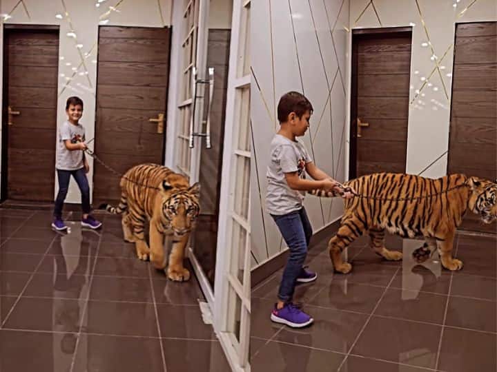 Child Seen Roaming Around Dreaded Tiger Watch Viral Video खूंखार टाइगर को बेखौफ होकर टहलाता नजर आया बच्चा, VIDEO देख उड़ गए लोगों के होश
