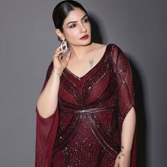 Raveena Tandon Kissa: जब बस में बुजुर्ग ने की थी रवीना टंडन के साथ गंदी हरकत, एक्ट्रेस ने खुद किया था खौफनाक खुलासा