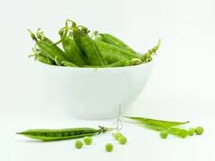 ਸਰਦੀਆਂ 'ਚ ਬਜ਼ਾਰ ਤੋਂ ਮਟਰ ਖ਼ਰੀਦਣ ਦੀ ਨਹੀਂ ਪਵੇਗੀ ਲੋੜ , ਇੰਝ ਘਰ 'ਚ ਹੀ ਉਗਾਓ