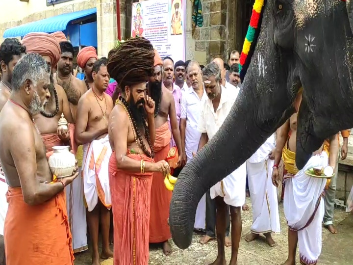 திருக்கடையூர் கோயிலில் தருமபுரம் ஆதீன மடாதிபதிக்கு  கலசபிஷேகம் - திரளான பக்தர்கள் பங்கேற்பு