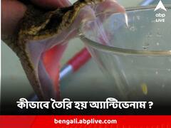Snake Bite Antivenom : সাপের বিষের প্রতিষেধক, কীভাবে তৈরি হয় অ্যান্টিভেনাম ?