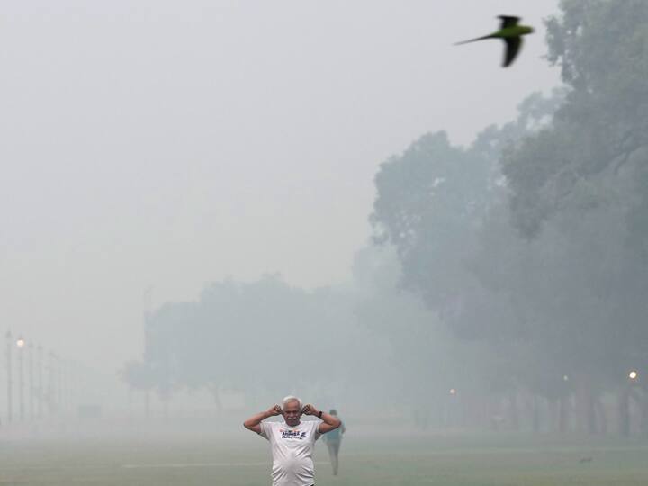 A man exercises in a park amid heavy smog near the India Gate in New Delhi on Saturday. (Source: PTI)